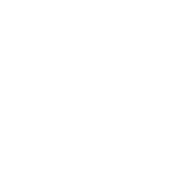 Artist chip